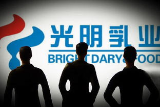 宋清輝 光明乳業企業管理與治理結構漏洞凸顯，亟待深化改革